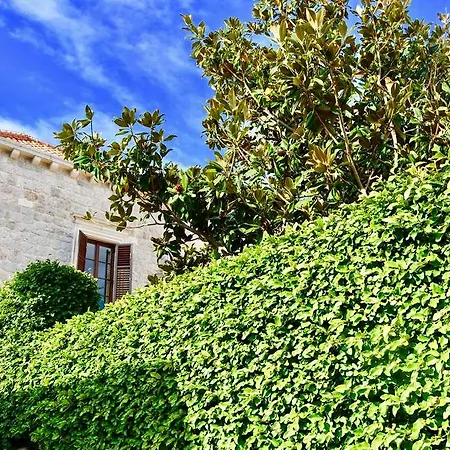 Boutique Kazbek Dubrovnik